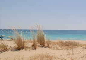 blog image 2